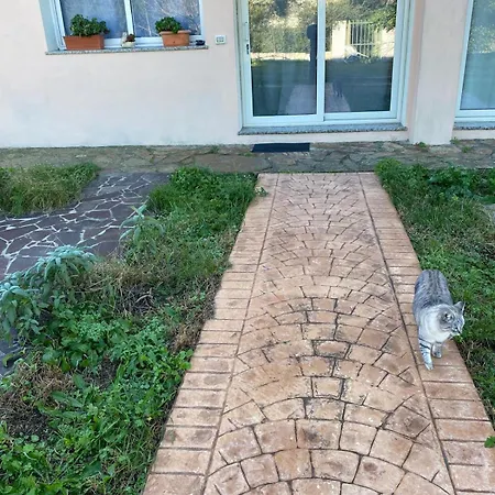 La Maison Di Zia Annina Costa Smeralda ゲストハウス *