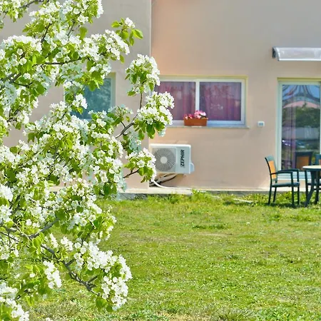 La Maison Di Zia Annina 게스트하우스