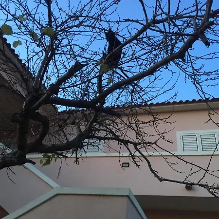 La Maison Di Zia Annina In Sardegna Affittacamere