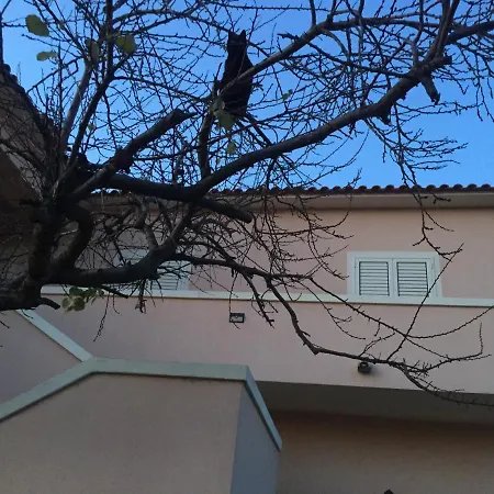 La Maison Di Zia Annina In Sardegna Affittacamere *