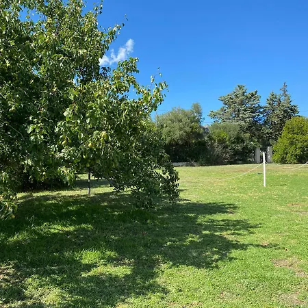 ゲストハウス La Maison Di Zia Annina オルビア