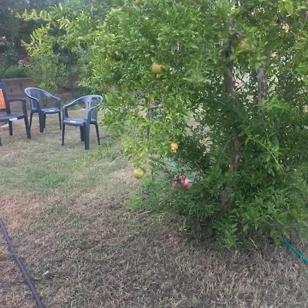 La Maison Di Zia Annina 3* オルビア