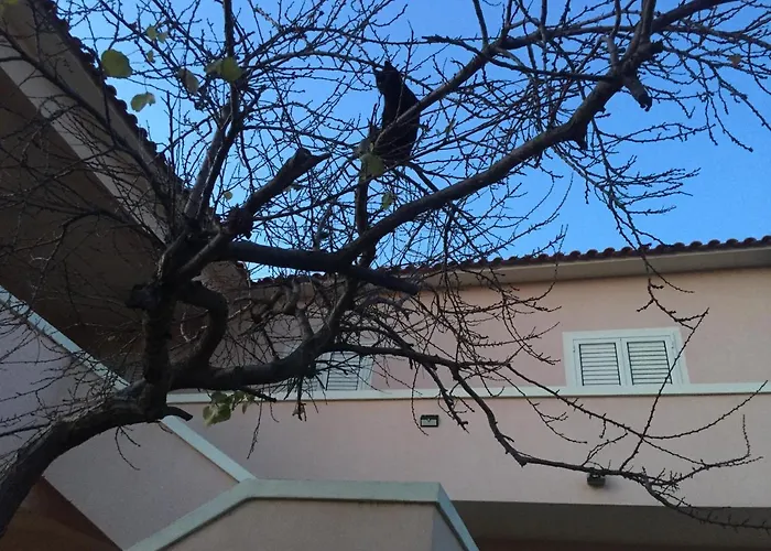 La Maison Di Zia Annina 招待所