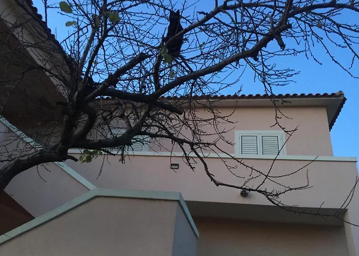 La Maison Di Zia Annina 招待所 3*