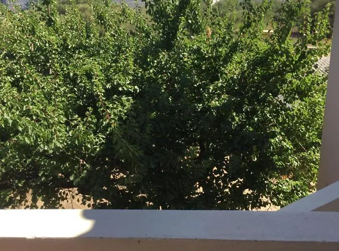 La Maison Di Zia Annina Olbia