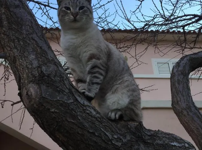 La Maison Di Zia Annina Olbia
